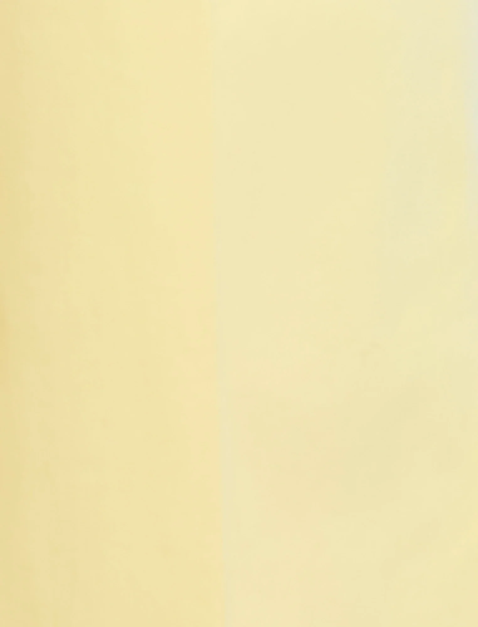 High Waist Cropped Pant - Builderot